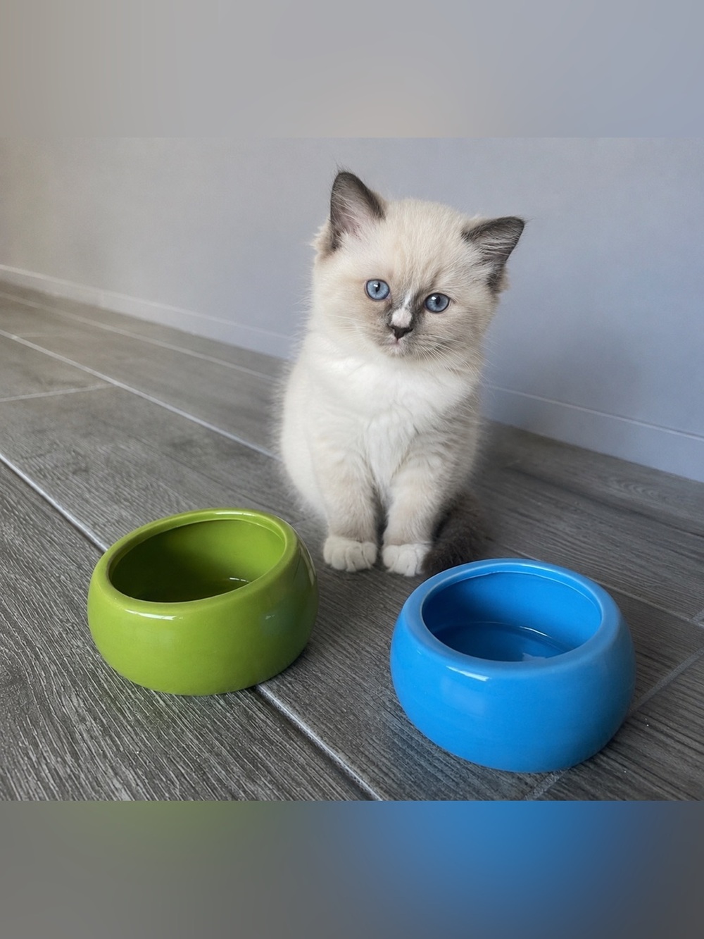 Two small bowls